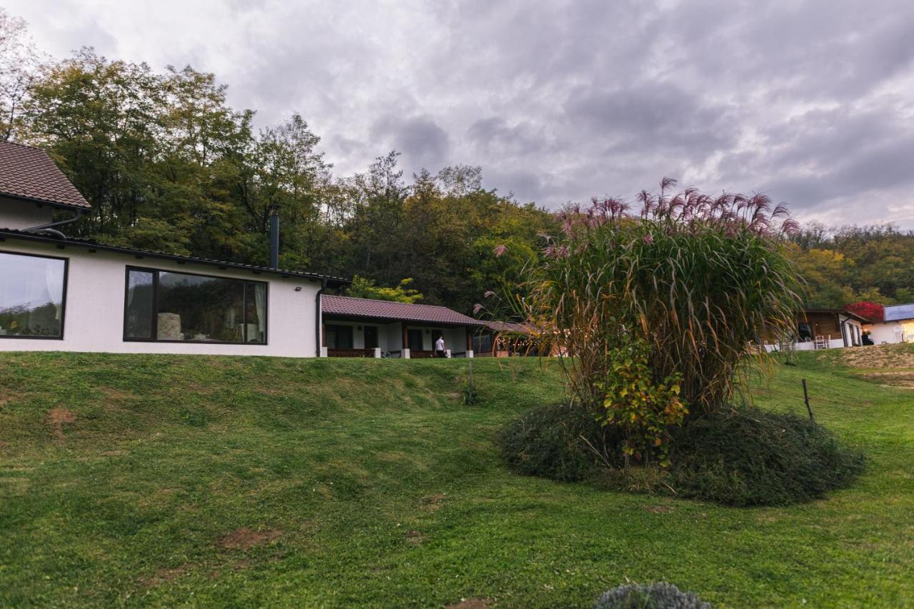 Hotel Casa Tirol Blaj Exterior foto